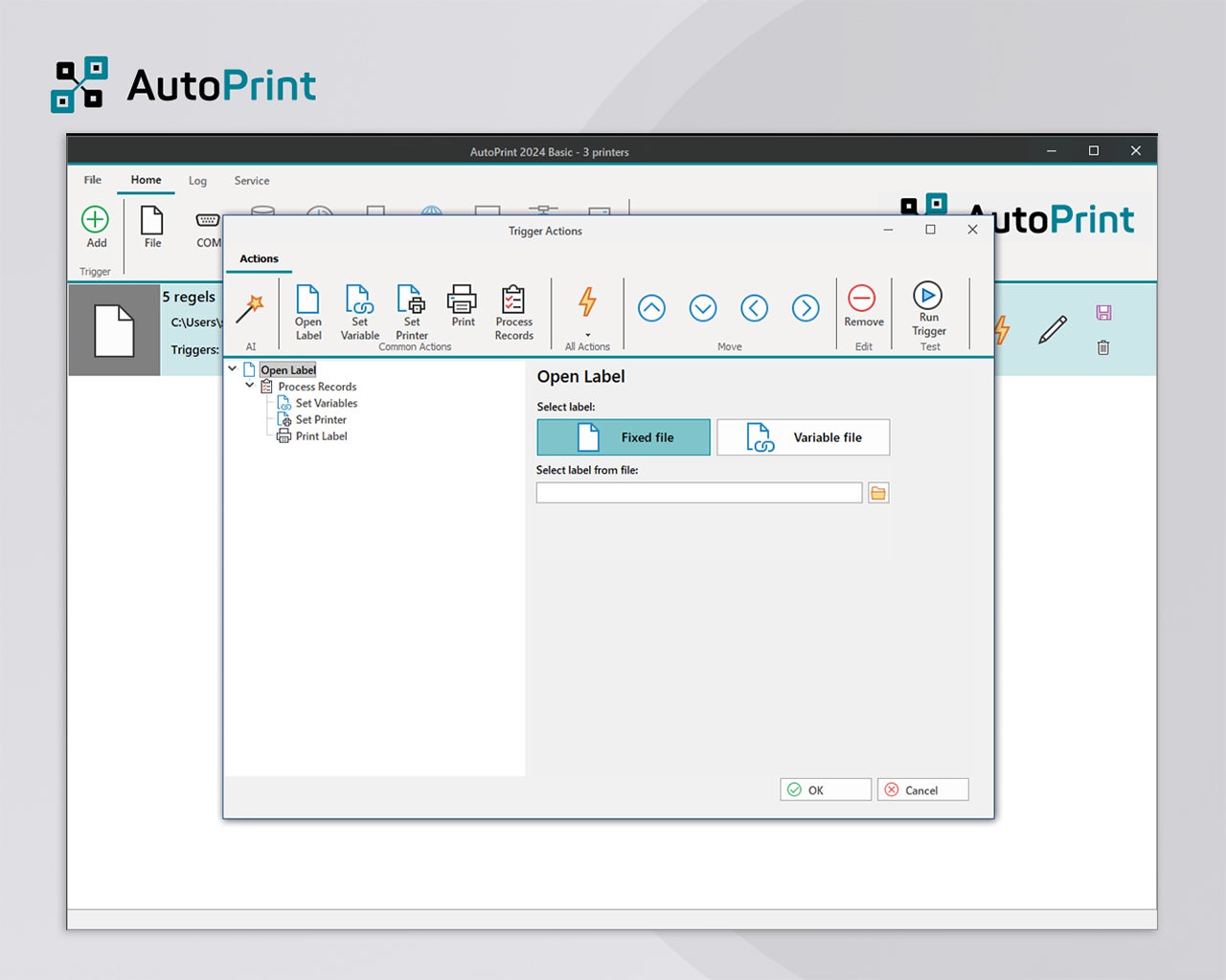 Configuratiescherm van AutoPrint voor het instellen van een triggermap, bestandscontrole en automatische verwerking van Excel-bestanden