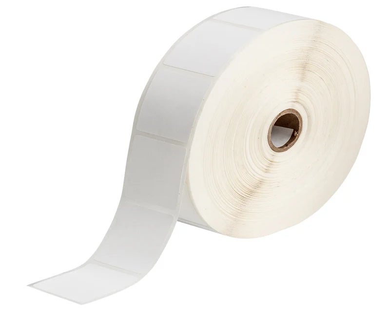 142244