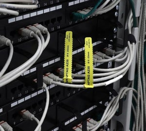Image of  146261-NL