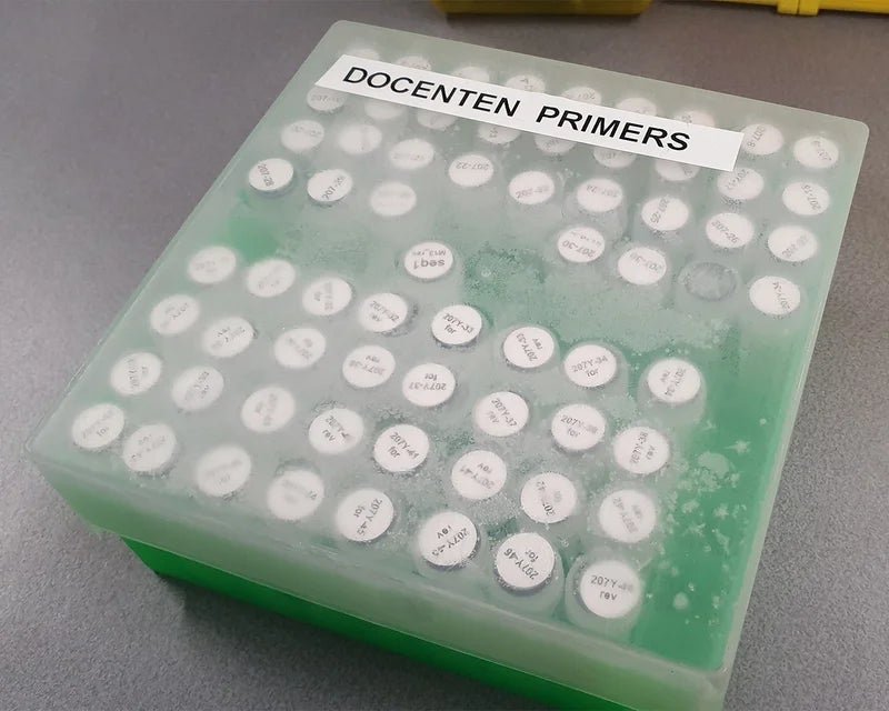 Groene cryobox met transparante bevroren deksel waaronder laboratoriumbuisjes met ronde witte cryogene labels zichtbaar zijn tijdens vriesopslag