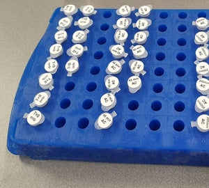 Transparante microbuisjes met ronde witte cryogene labels geplaatst in een houder