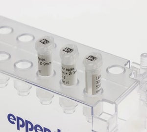 Drie transparante microbuisjes met witte cryogene labels geplaatst in een transparant kunststof rek van Eppendorf