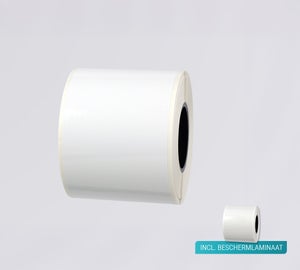 72003557.jpg