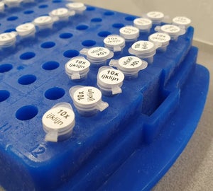 Transparante buisjes met ronde witte cryogene labels geplaatst in een blauw laboratoriumrek