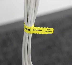 Image of  146261-NL