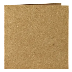 Correspondentiekaart Papicolor dubbel 105x148mm br