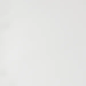 Voorblad GBC A4 Polycover 300micron wit 100 stuks