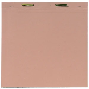 Binnenmap Djois A4 met snelhechter 300gr chamois
