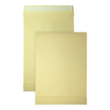 DULA monsterzak envelop - 262x371x38mm - EB4 - zelfklevend