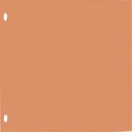 Scheidingsstrook Oxford smal 240x105mm 190gr oranj
