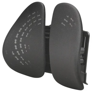 Rugsteun Kensington smartfit zwart