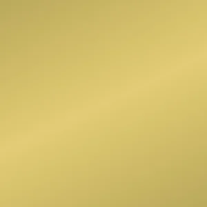 Etalagekarton Folia 1-zijdig 48x68cm 380gr nr611 g