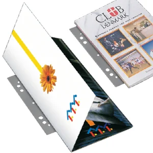 Opbergstrip Djois filestrip A4 295mm 2/4rings tran