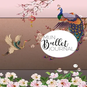 Mijn Bullet Journal Japan 240 dots 240 pagina's