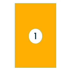 Etiket Rillprint 210x297mm fluor oranje 100 stuks