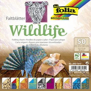 Vouwblaadjes Folia 80gr 15x15cm 50 vel 2-zijdig 10