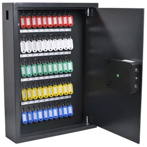 Sleutelkast Pavo High security 50 haken 550x380x10