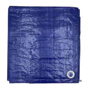 DULA afdekzeil 2 x 3 meter