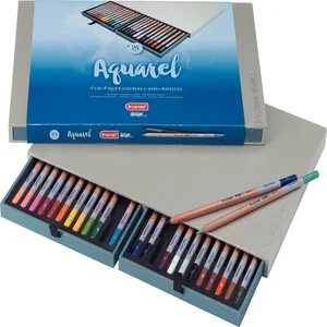 Kleurpotloden Bruynzeel Design met luxe bewaardoos