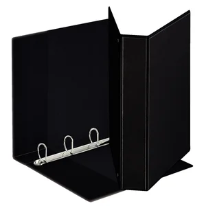 Presentatieringband Esselte panorama A4 4-rings D-