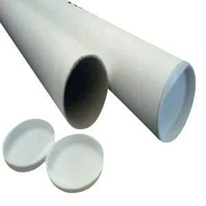 Verzendkoker CleverPack A3 330x29.5mm met doppen w