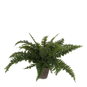 Kunstplant Mica Boston varen groen in pot Ø50cm 42