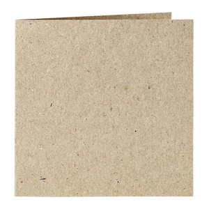 Correspondentiekaart Papicolor dubbel 105x148mm kr
