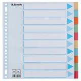 Tabbladen Esselte Premium A4 10-delig karton 23-rings assorti