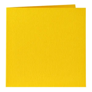 Correspondentiekaart Papicolor dubbel 105x148mm do