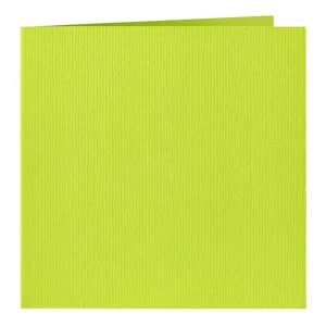 Correspondentiekaart Papicolor dubbel 105x148mm ap