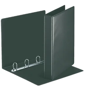 Presentatieringband Esselte panorama A4 4-rings D-