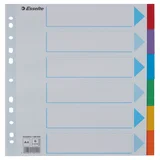 Tabbladen Esselte Standaard A4 6-delig karton 11-rings met voorblad assorti