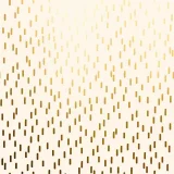 Apparaatrol Special Wrap 100mx30cm crème met goud