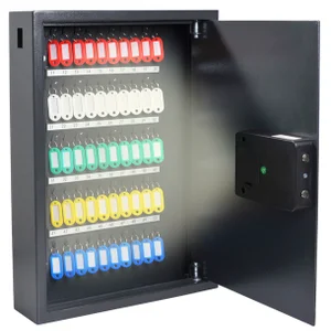 Sleutelkast Pavo High security Smart 50 haken 550x