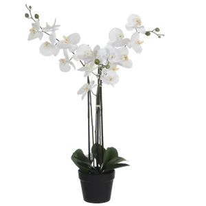 Kunstplant Mica Phalaenopsis orchideeën wit in pla