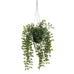 Kunstplant Mica Ficus hangend in pot groen Ø20 46c