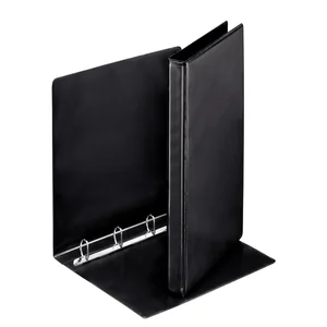 Presentatieringband Esselte Essentials panorama A4