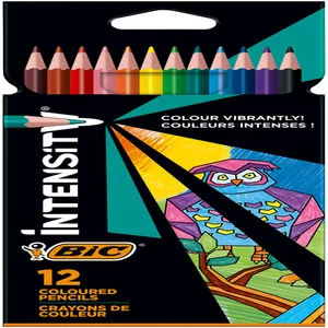 Kleurpotloden Bic Intensity assorti etui à 12 stu