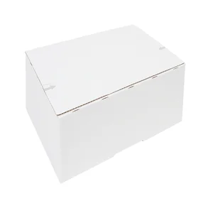 Postpakketbox IEZZY 2 200x140x80mm wit
