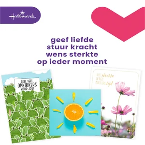 Wenskaart Hallmark Business Box beterschap navulse