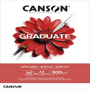 Schilderpapier Canson Graduate Oil & Acrylic 20vel