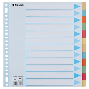 Tabbladen Esselte Premium A4 12-delig karton 23-ri