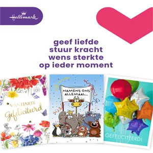 Wenskaart Hallmark Business Box verjaardag A4 navu
