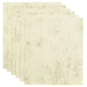 Kopieerpapier Papicolor A4 90gr 12 vel marble ivoo