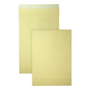 DULA monsterzak envelop - 229x324x38mm - C4 - zelfklevend