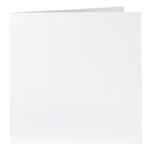 Correspondentiekaart Papicolor dubbel 105x148mm kr