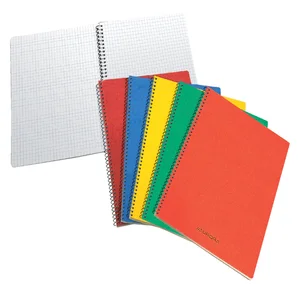 Schrift Aurora 75x110mm ruit 5x5mm 160 pagina's 60