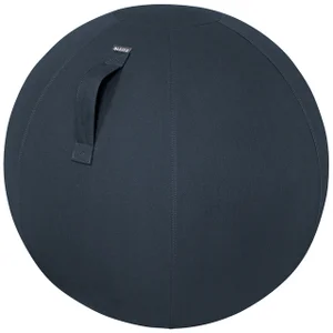 Actieve zitbal Leitz Ergo Cosy 65cm donkergrijs