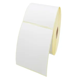 Origineel Zebra (3006321) Etiketten, Paperlabels Gecoat, 102mm x 102mm, Permanent, Kern 25mm, rol à 700 stuks