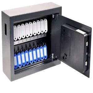 Sleutelkast Pavo High security Advanced 20 haken 2